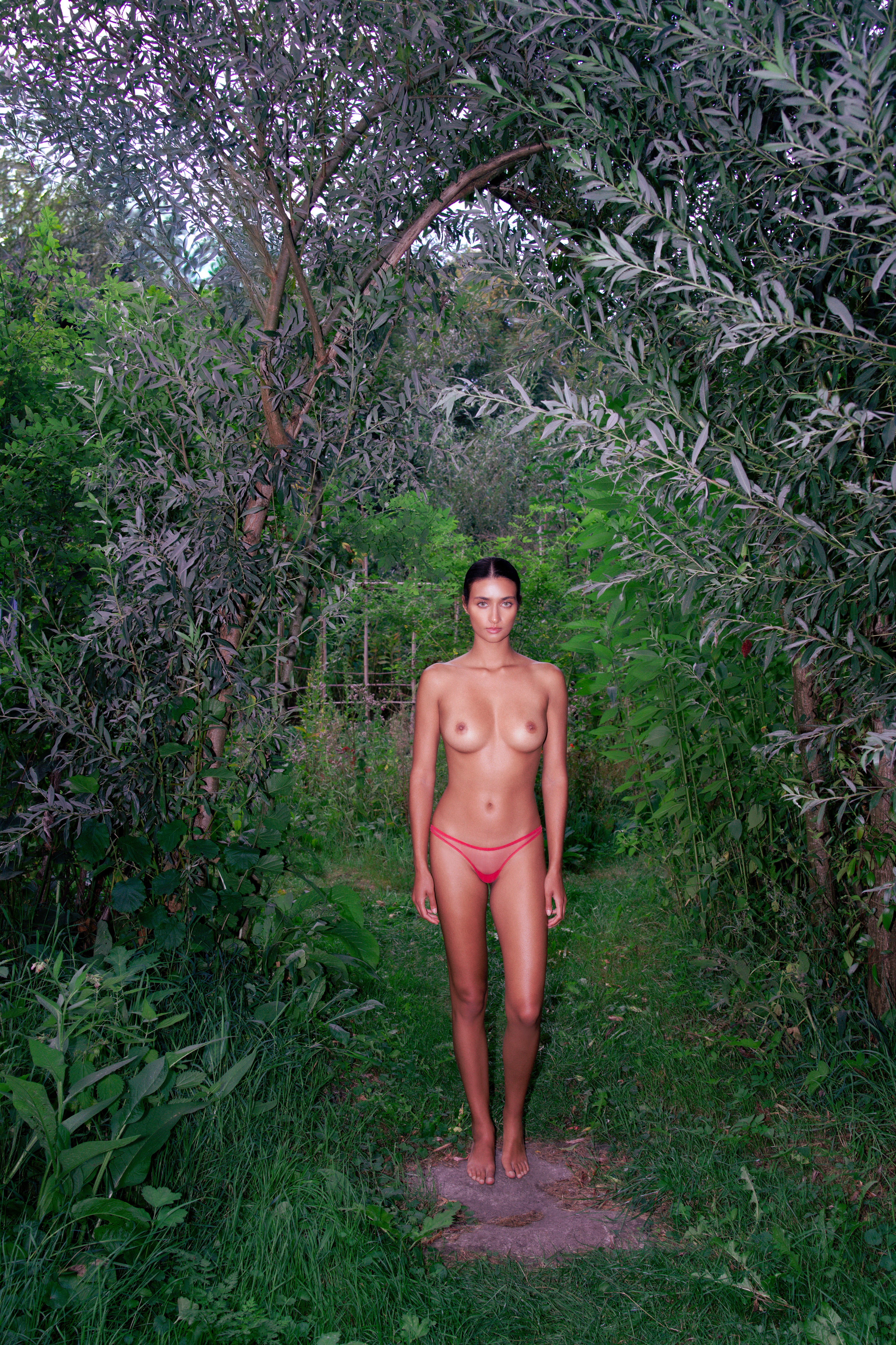 gift of seeing - string