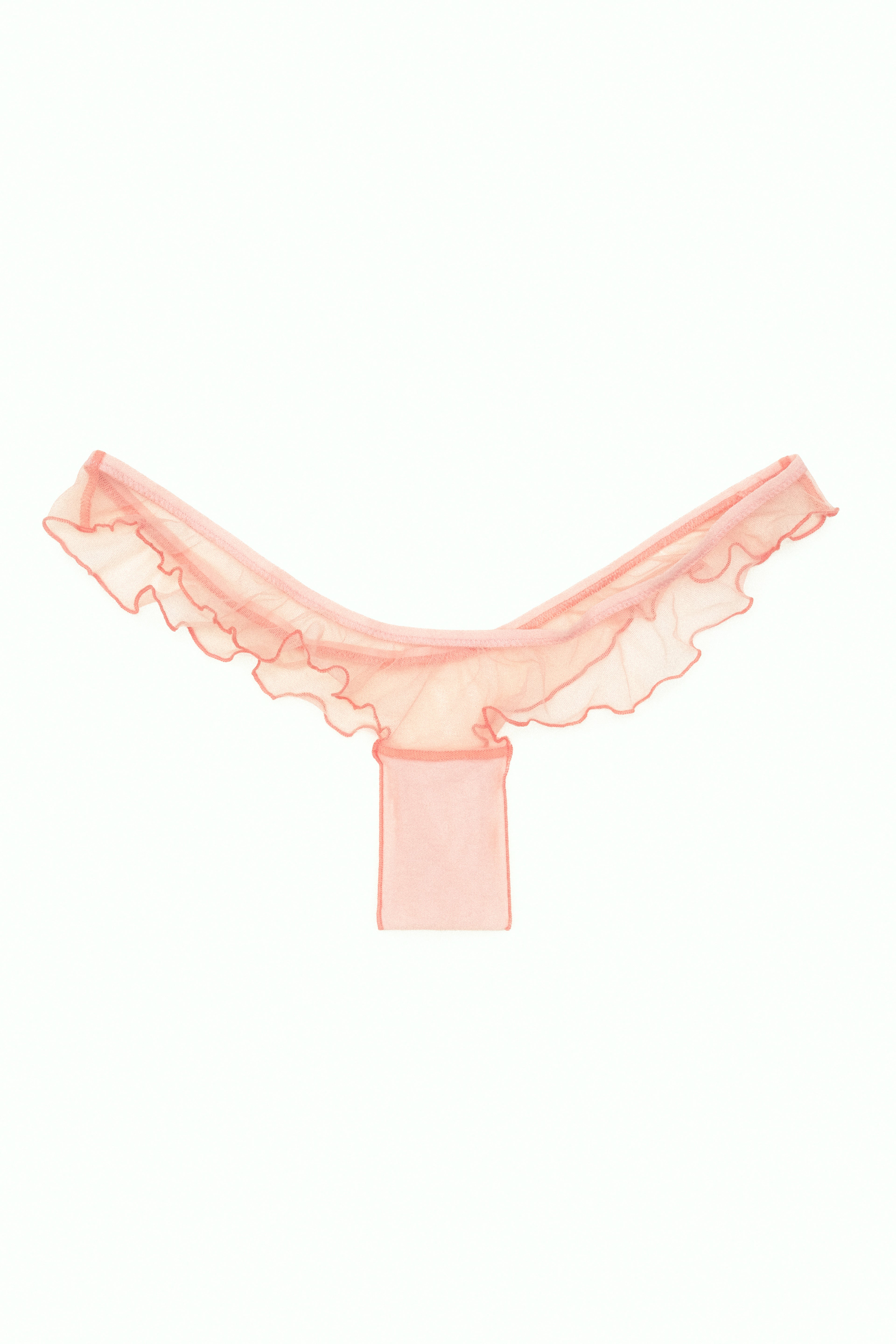 garments of skin - thong